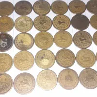 سکه