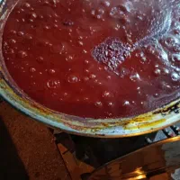 رب تازه
