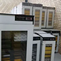 دستگاه/جوجه کشی /Zdمیکروب -×کد 8080