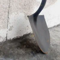 بیل آمریکایی اصل|کلکسیون اشیاء عتیقه|کرمانشاه, |دیوار