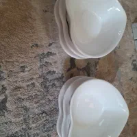 چینی|ظروف سرو و پذیرایی|قزوین, |دیوار