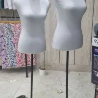 رگال .مانکن