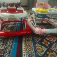 دوعدد روروئک درحدنو