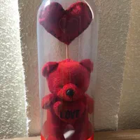 خرس توی شیشه