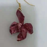 گوشواره طرح های مختلف