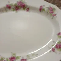 دیس بزرگ نو قدیمی. 5تا موجوده