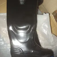 تعداد ۴۰کارتن پوتین