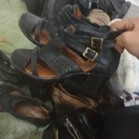 کلکسیون گفش