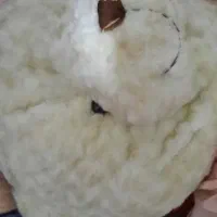 عروسک خرسی