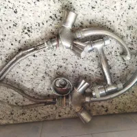 سه عدد شیر دوقلو