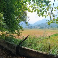 خانه سنتی ۱۰۰۰ متر|فروش خانه و ویلا|فریم, |دیوار