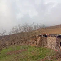 فروش-زمین-مسکونی-300متر-در-ییلاق