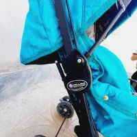 کالسکه دلیجان|کالسکه و لوازم جانبی|کرمان, |دیوار