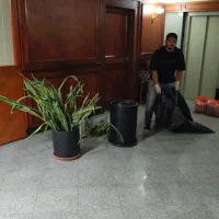 تامین و نگهداری انواع گل و گیاه با تیم مجرب|خدمات باغبانی و درختکاری|ری, بازار گل خاوران|دیوار