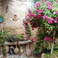 منزل اجاره روزانه|اجارهٔ کوتاه‌مدت آپارتمان و سوئیت|شیراز, گود عربان|دیوار