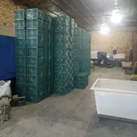 سبد میوه 10کیلویی سبز