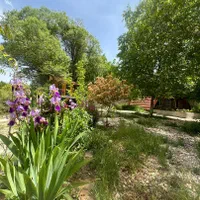 اجاره روزانه/هفتگی/ماهانه ویلا ۸۵ متری