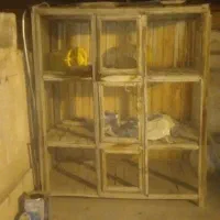 قفس چوبی بزرگ