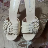 دمپایی مجلسی