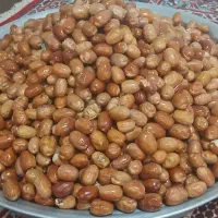 سنجد امسالی