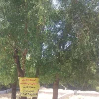 زمین مسکونی به متراژ۱۹۰متر