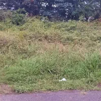 زمین 214 متر شیخ زاهد موقعیت استثنایی