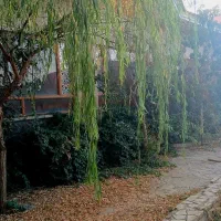 اجاره روزانه سوئیت در روستای وشنوه|اجارهٔ کوتاه‌مدت آپارتمان و سوئیت|قم, مسکن مهر|دیوار