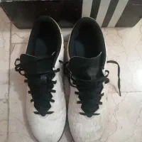 کفش چمن مصنوعی آدیداس،تخفیف خاص فقط برای امروز|کیف، کفش، کمربند|تهران, تجریش|دیوار