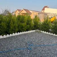 ویلا ساحلی|اجارهٔ کوتاه‌مدت ویلا و باغ|خشکبیجار, |دیوار