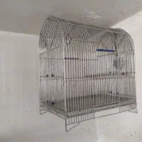 قفس ایتالیایی