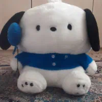 عروسک پولیشی