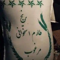 برنج طارم استخوانی