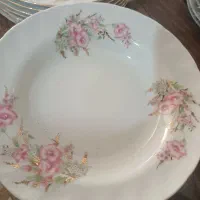 بشقاب پلوخوری و خورشت خوری|ظروف سرو و پذیرایی|رباطکریم, رباطکریم|دیوار