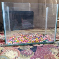 آکواریوم وفلاسک