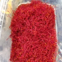 مقدار3۵/۵  زعفران برداشت امسال تمیز دستی خشک شده