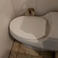 توالت فرنگی پارس سرام
