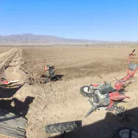 شخم زدن زعفران علف وخار زدن با دستگاه کمری