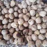 گردو درجه یک مغز سفید و پر