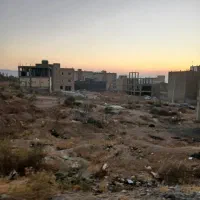 زمین سند داره تک برگ