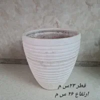گلدان های کوچیک و بزرگ متنوع|گل و گیاه طبیعی|تهران, ائمه اطهار|دیوار