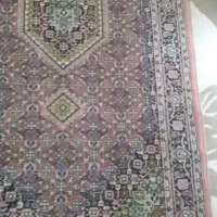 فرش ۱در۲ سالم|فرش|سنندج, |دیوار