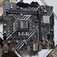 مادربردایسوس