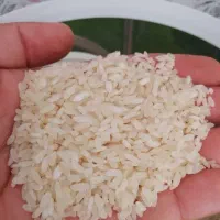 خورده کامفیروزی|خوردنی و آشامیدنی|شیراز, مسلم|دیوار