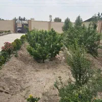 باغ ویلا 570متری درخت کاری شده اطراف ساخت|فروش خانه و ویلا|شهریار, اصیل آباد|دیوار