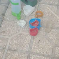 قفس پرنده|لوازم جانبی حیوانات|شیراز, کوشک میدان|دیوار