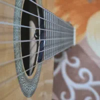 گیتار آریا AK30