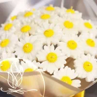 غزل همتی|صنایع دستی و سایر لوازم تزئینی|ایوان, |دیوار