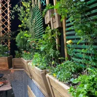 ساخت سازه چوبی|خدمات پیشه و مهارت|سنندج, |دیوار