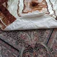 روتختی|سرویس روتختی|پرند, فاز ۴|دیوار