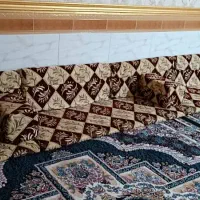 مقاعدخلیجی